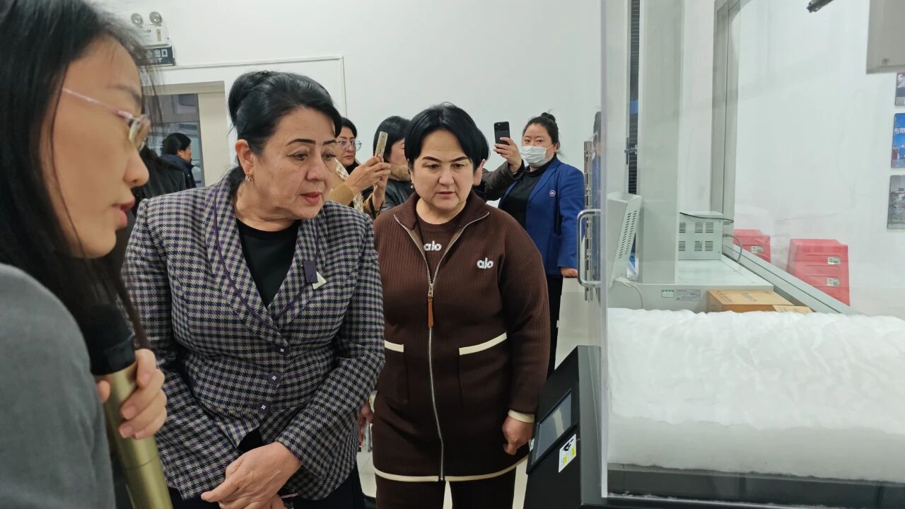 Uzbekistan Women Visit Shaanxi Yalan 3